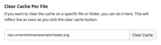Clearing Cache per File